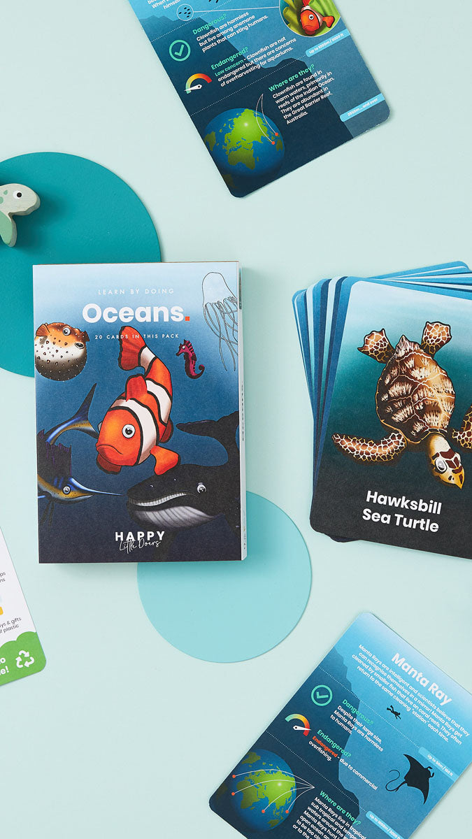 Oceans Activity Flashcards