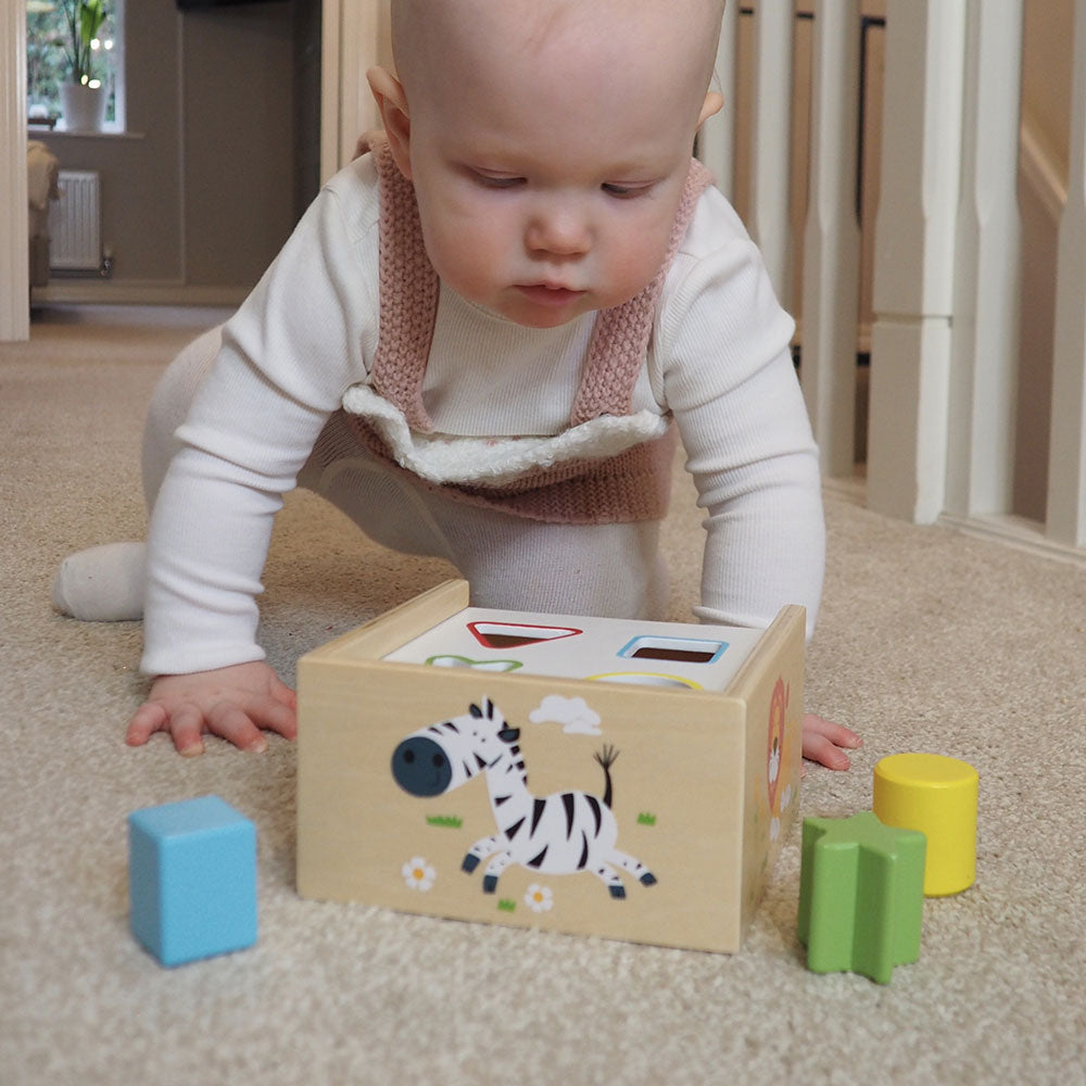 Shape Sorter Box