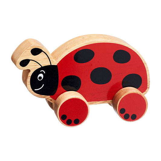 Ladybird Push Along