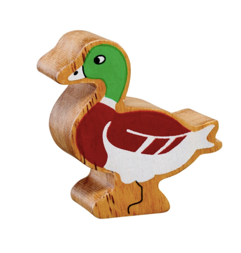 Brown Duck