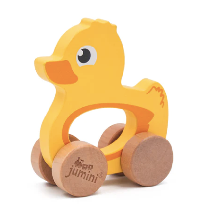 Push Along Friends Duck (Boxed)