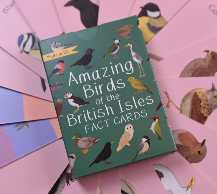 Amazing Birds of the British Isles Fact Cards