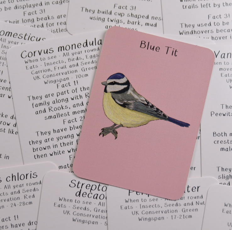 Amazing Birds of the British Isles Fact Cards