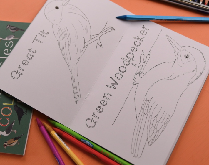 Amazing Birds of the British Isles Colouring Book