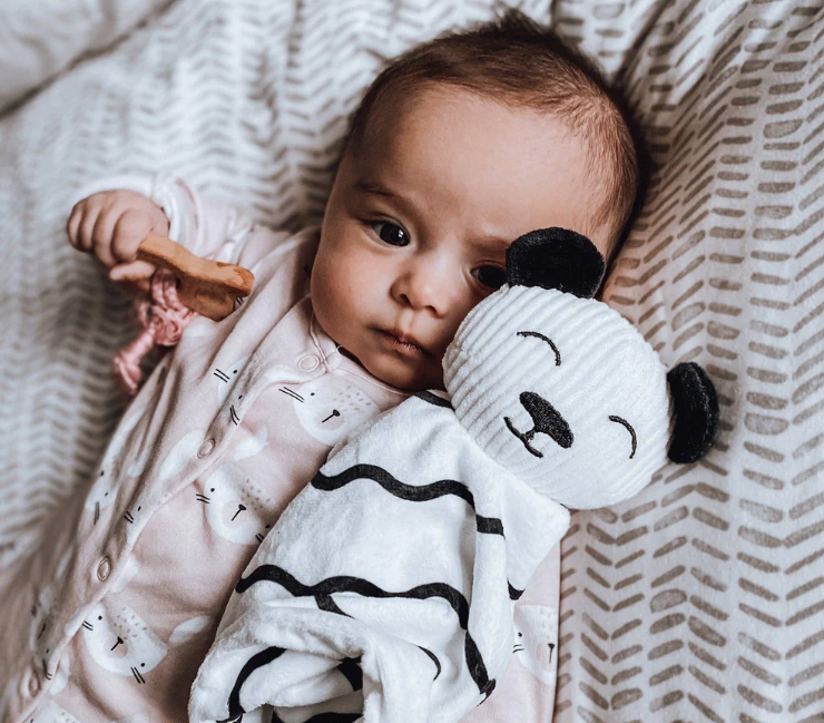 Panda Baby Comforter