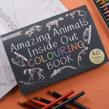 Amazing Animals Inside Out Colouring Book