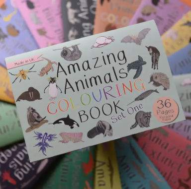 Amazing Animals Set One Colouring Book