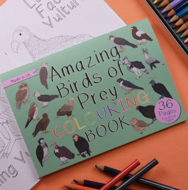 Amazing Birds of Prey Colouring Book