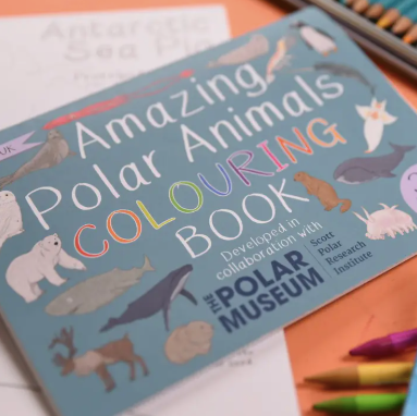 Amazing Polar Animals Colouring Book