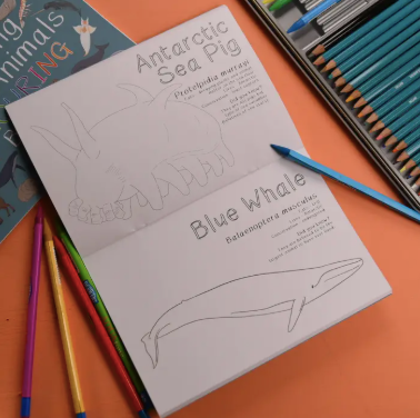 Amazing Polar Animals Colouring Book