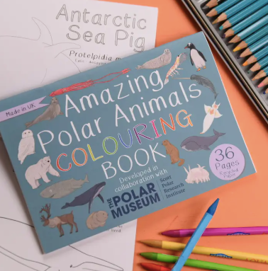 Amazing Polar Animals Colouring Book