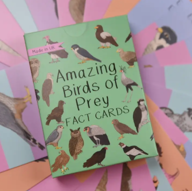 Amazing Birds of Prey Fact Cards