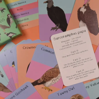 Amazing Birds of Prey Fact Cards