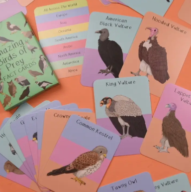 Amazing Birds of Prey Fact Cards