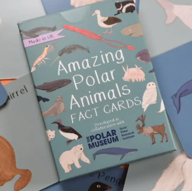 Amazing Polar Animals Fact Cards