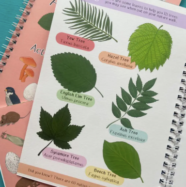 Amazing British Nature Walk Activity Book and Nature Journal